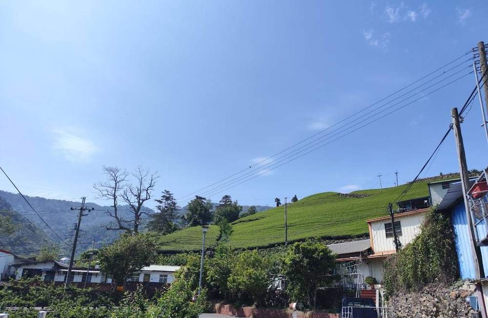 梨山新佳陽