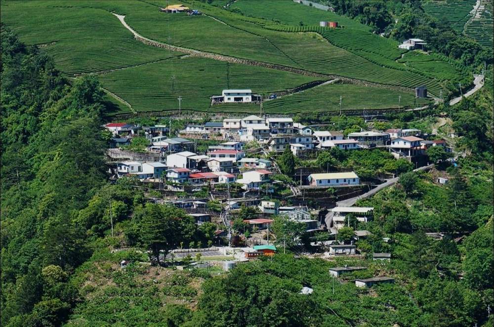Lishan mountains — 梨山新佳陽茶區